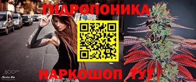 a pvp Можга