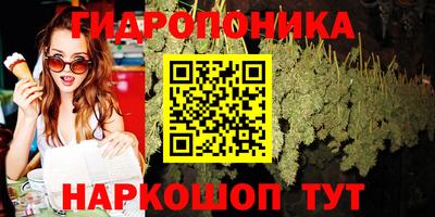 PSILOCYBIN Можайск