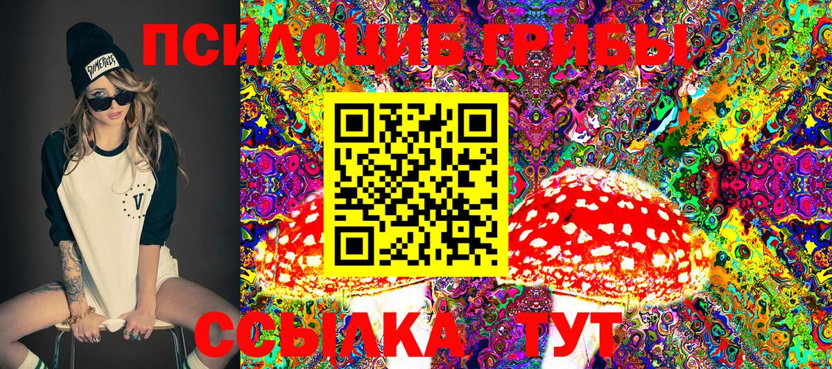 Южно-Сахалинск  Галлюциногенные грибы Cubensis  Вход с VPN 