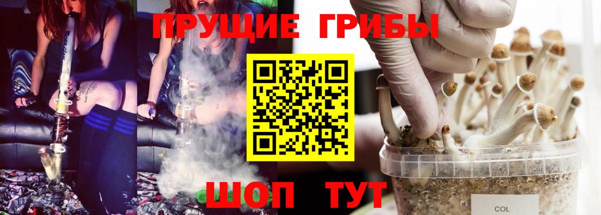 Псилоцибиновые грибы Cubensis Южно-Сахалинск